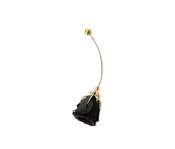 Long gold earring with a preserved natural black rose